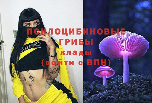 mdma Горняк
